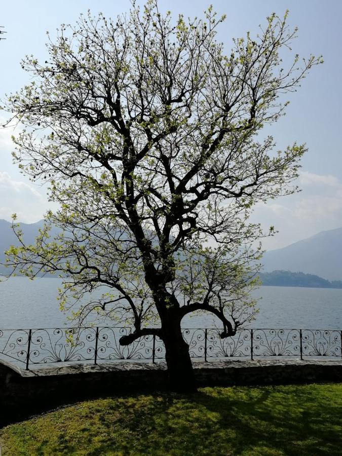 L'Antico Borgo, Un Mix Di Storia E Romanticismo Villa เลียร์นา ภายนอก รูปภาพ